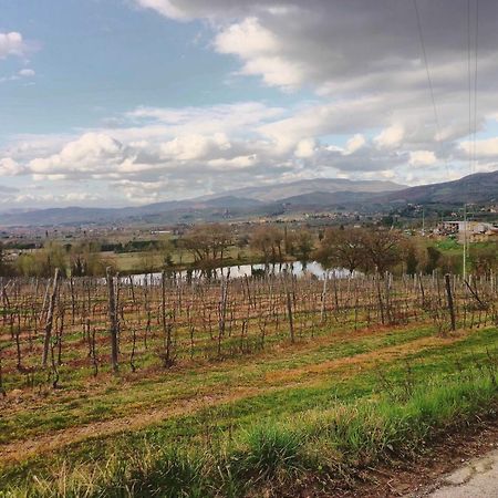 Bed And Breakfast Loriana Ареццо Екстер'єр фото